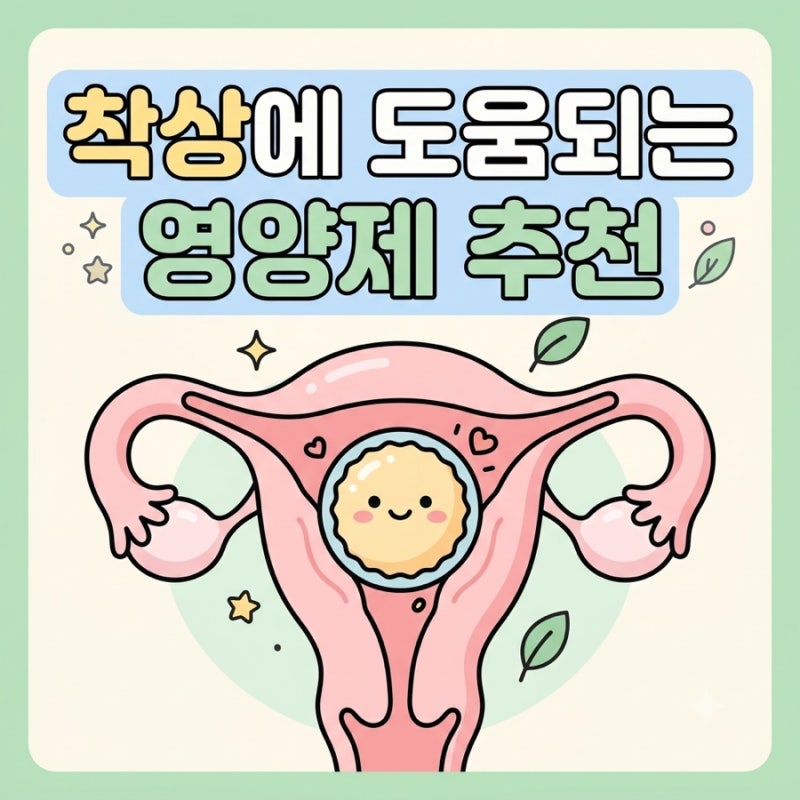 착상 영양제 추천 : 착상 실패 원인 극복하는 임신 준비 꿀팁