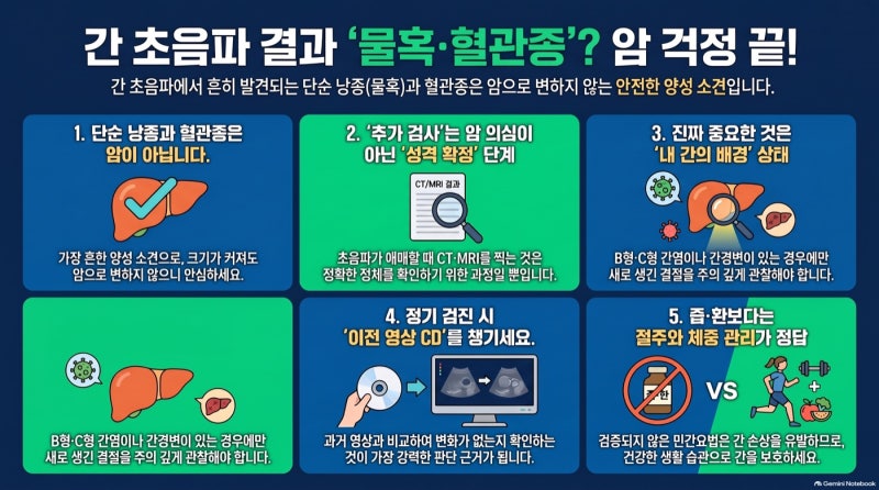 복부초음파에 간 물혹·혈관종 — 대부분 그냥 두는 소견입니다