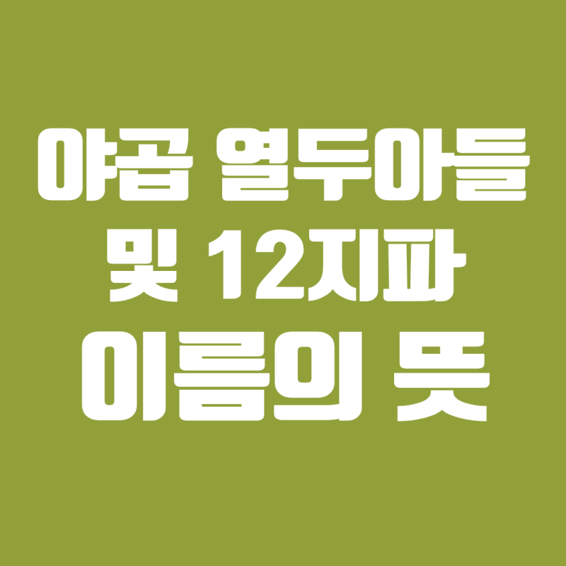 야곱 열두 아들 순서별 이름 뜻(에브라임 므낫세 포함 이스라엘 12지파)