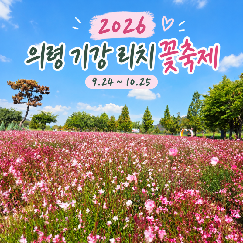 2026 의령 기강 리치 꽃축제 일정｜9월 24일부터 만나는 가을꽃 명소