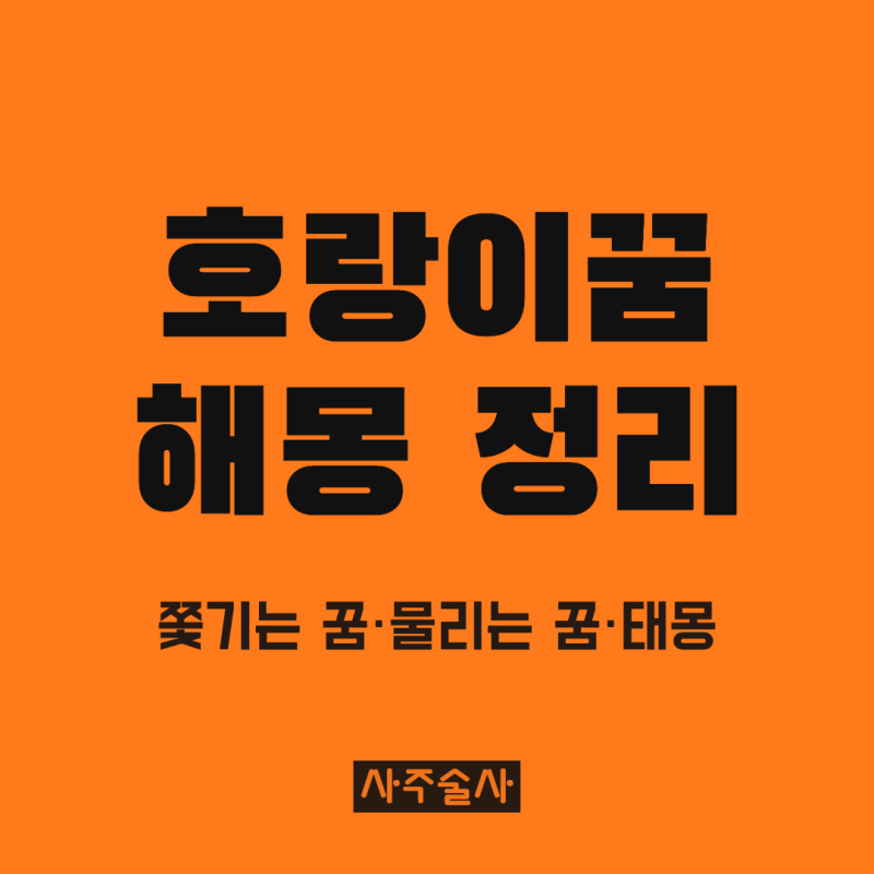 호랑이꿈 해몽, 쫓기는 꿈과 물리는 꿈부터 호랑이 태몽까지 정리