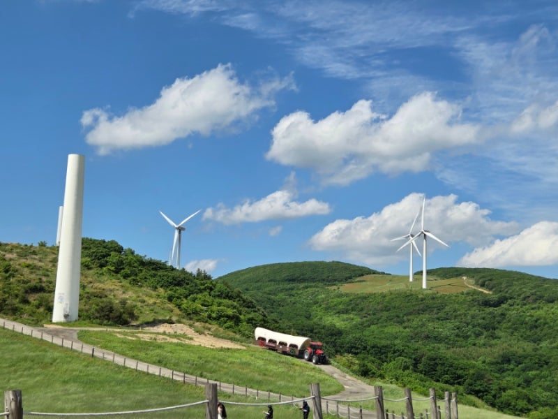 평창 대관령 하늘목장 애견동반, 아이도 강아지도 좋았던 곳