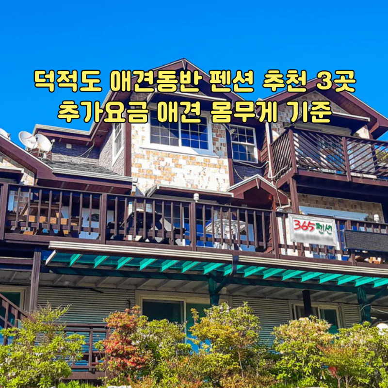덕적도 애견동반 펜션 추천 3곳 추가요금 애견 몸무게 기준 대형견 가능여부