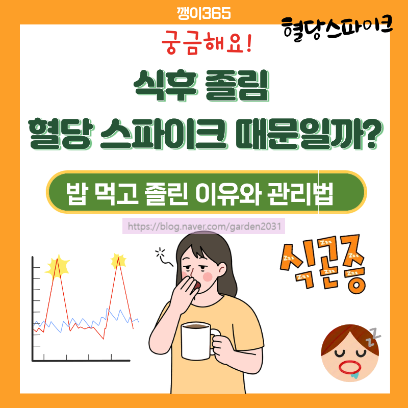 식후 졸림 혈당 스파이크 때문일까?밥 먹고 졸린 이유와 관리법