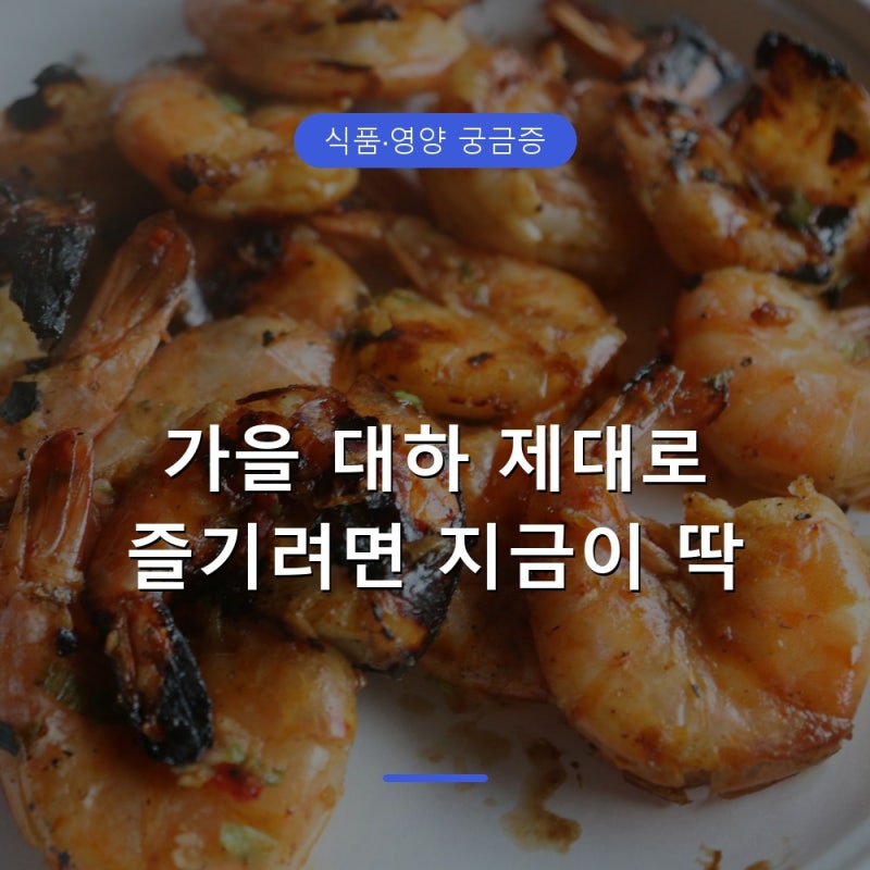 대하 제철 시기와 고르는 법, 흰다리새우 구별법+맛있게 먹는법