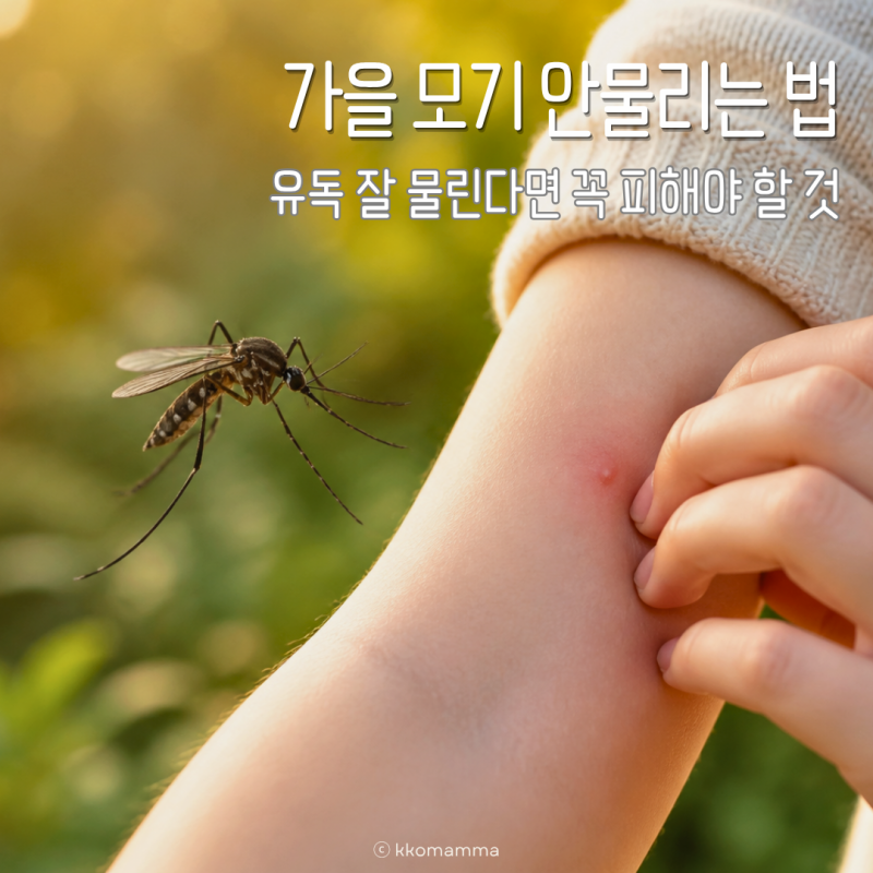 가을 모기 안물리는 법, 유독 잘 물린다면 꼭 피해야 할 것