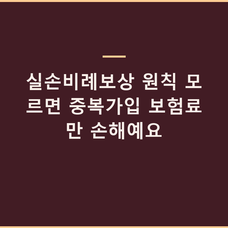 실손비례보상 원칙 모르면 중복가입 보험료만 손해예요