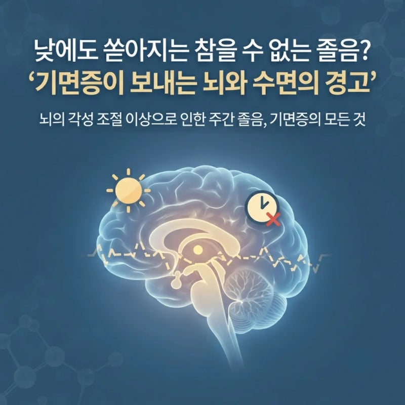 낮에도 쏟아지는 참을 수 없는 졸음? 기면증이 보내는 뇌와 수면의 경고