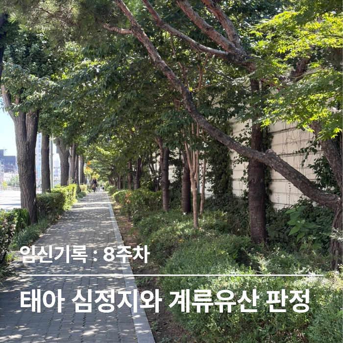 [임신 8주차] 갑작스러운 심장 멈춤과 계류유산 증상/ 법적 유산 휴가 기간