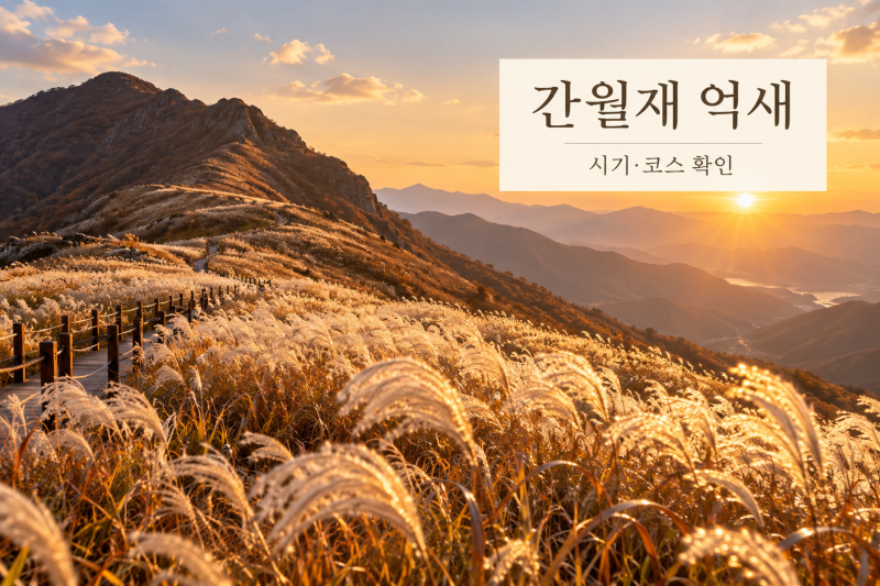 2026 간월재 억새 시기, 간월산장 코스 거리·소요시간 정리