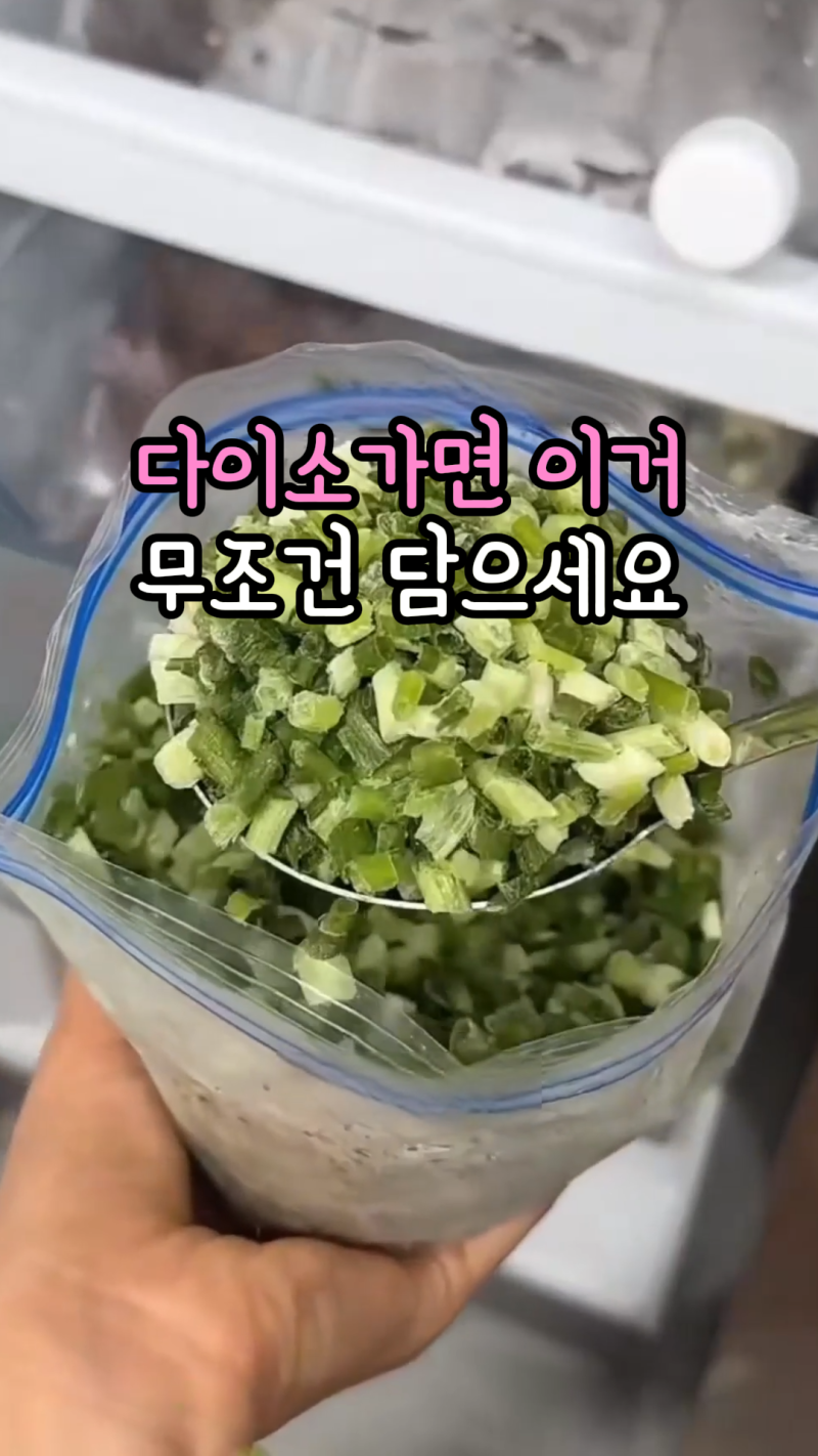 30년 대파 농사 지으신 엄마가 알려준 대파 냉동 보관법 (다이소 보관용기 활용)