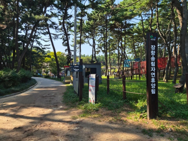 장항 송림 자연휴양림 보랏빛 맥문동꽃, 장항 스카이워크 전망대