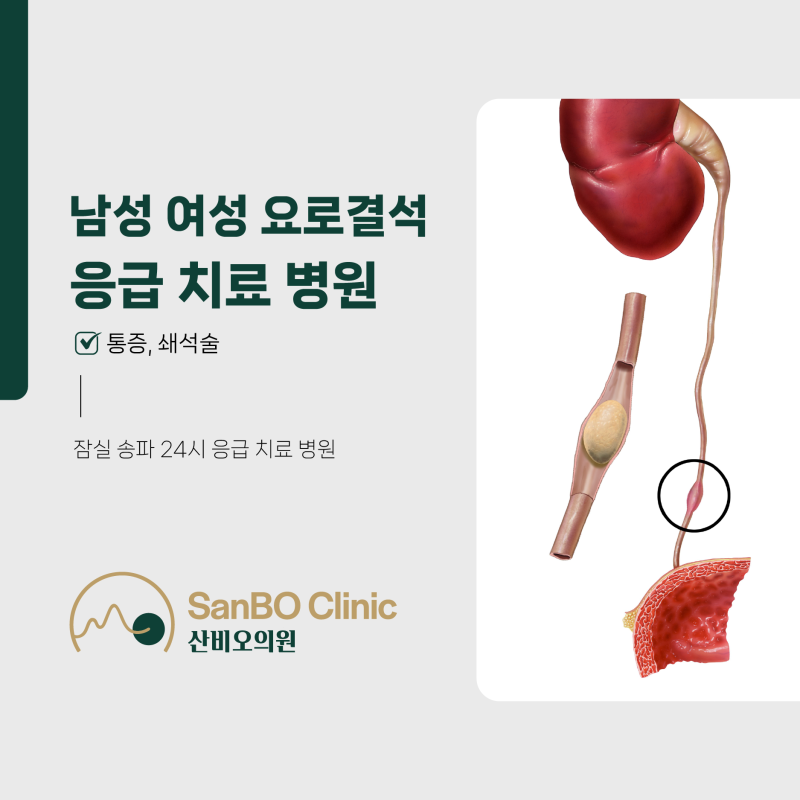 잠실 송파 24시 남성 여성 요로결석 통증, 쇄석술, 응급 치료 병원