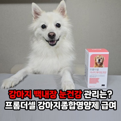강아지 백내장 증상과 원인, 노령견 눈건강 관리는? 프롬더셀 시니어 에이징 강아지종합영양....
