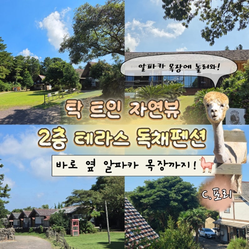 제주 통나무파크 2층 테라스 뷰에 반한 제주 애월 숙소 | 제주도 가성비 펜션 추천