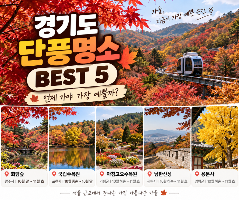 서울 근교 단풍 어디로 갈까? 2026 경기도 단풍 명소 5곳, 가장 예쁜 시기까지