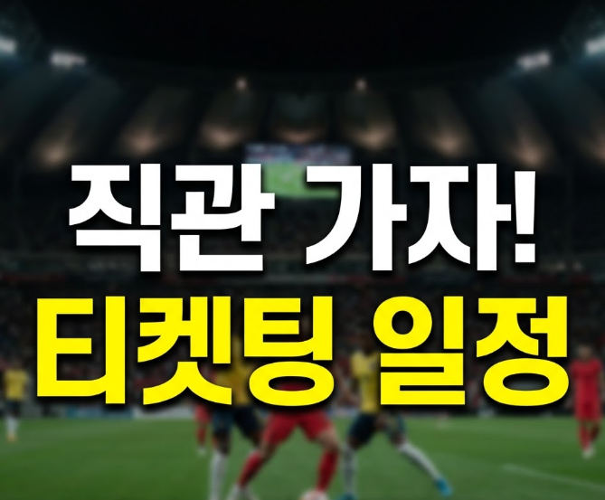 한국 에콰도르 예매 날짜와 가격 정리, 모레노호 데뷔전 놓치면 후회합니다