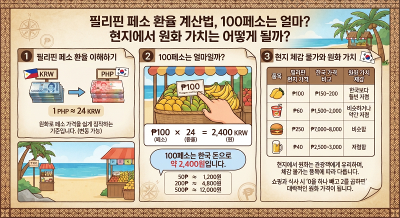 필리핀 페소 환율 계산법, 100페소는 얼마? 현지에서 원화 가치는 어떻게 될까