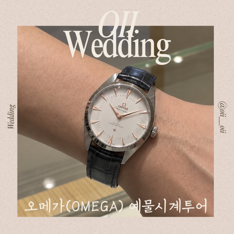 오메가 시계 비싼지도 모르고 신나게 예물투어한 사람의 최후