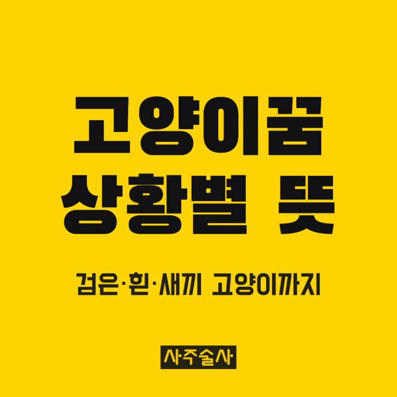고양이꿈 해몽, 검은 고양이 흰 고양이 새끼 고양이 상황별 뜻