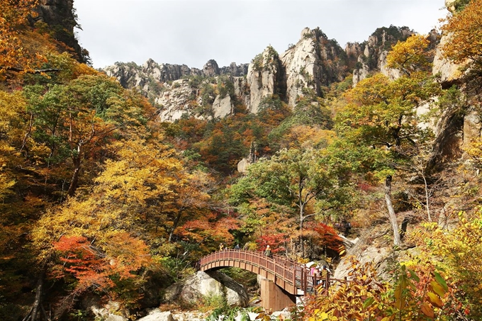 [2026 가을 산행 추천] 단풍 명소 Best 4 및 초보자 등산코스 총정리