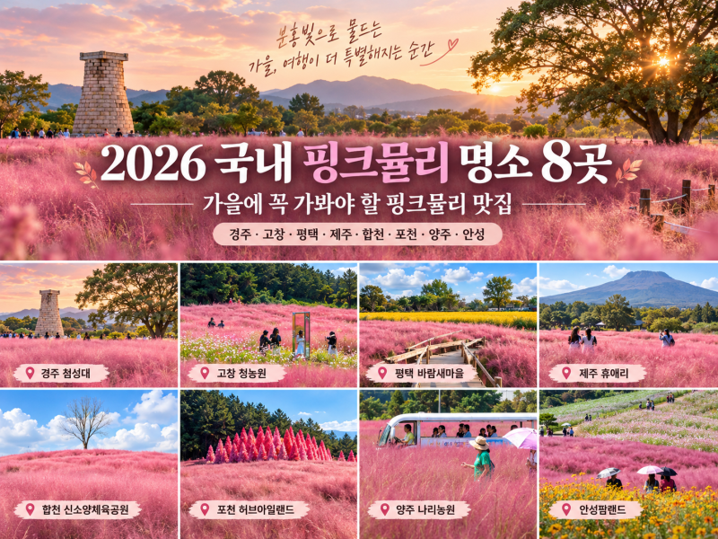 2026 국내 핑크뮬리 명소 8곳｜경주·고창·평택·제주·합천·포천·양주·안성 주차까지 총정....