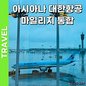 아시아나 대한항공 마일리지 통합 유효기간 10년 전환 비율 총정리
