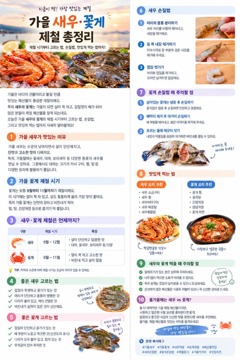 가을 새우·꽃게 제철 총정리｜제철 시기부터 고르는 법, 손질법까지