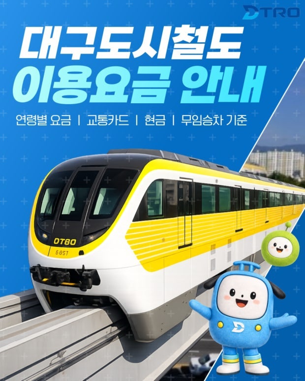 대구에 살기로 “다짐” 하세요!!!