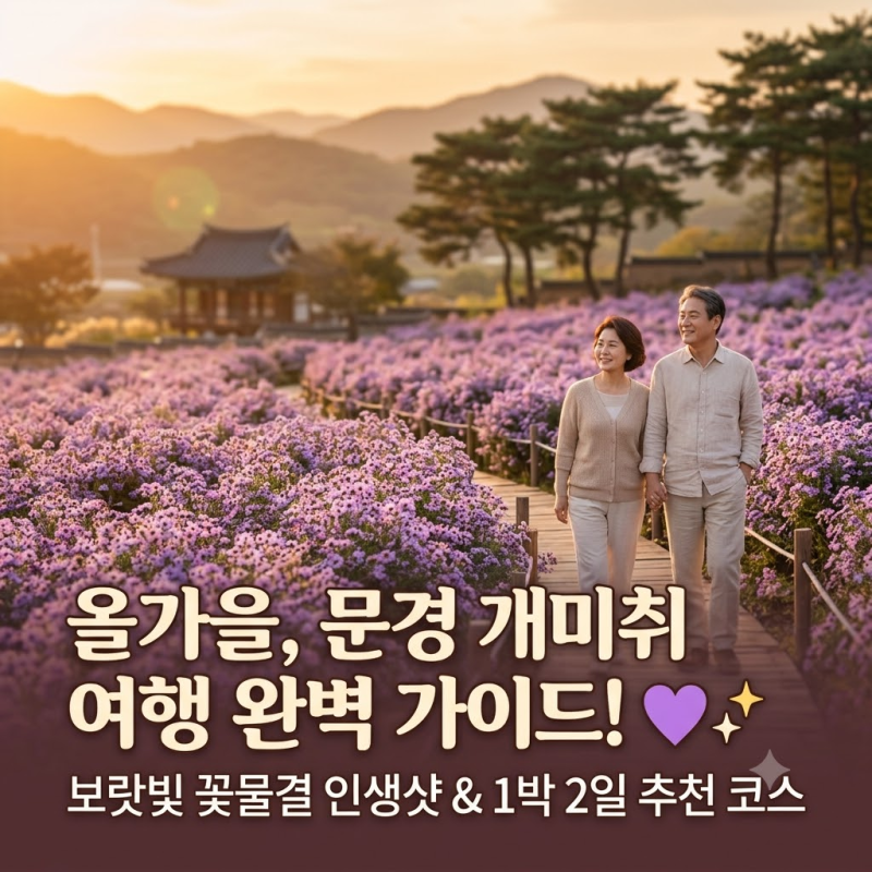 문경 개미취 축제 (+입장료, 봉천사, 문희농원, 문경 1박 2일 코스)