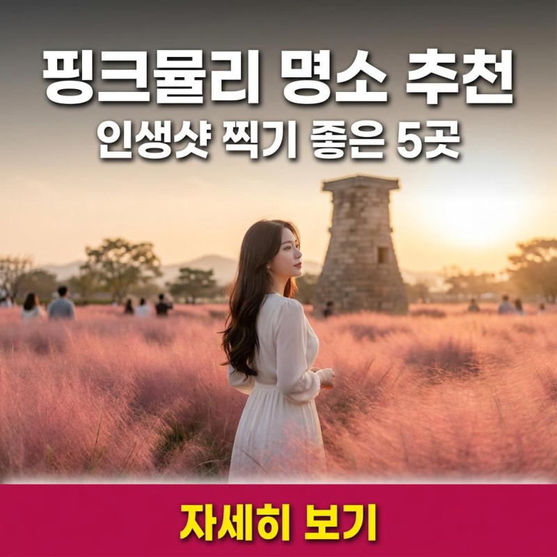 9월 핑크뮬리 시기 언제일까? 지금 가면 딱 좋은 인생샷 스팟 5선