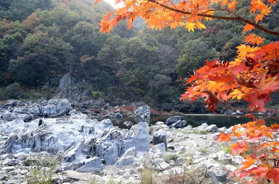 주왕산 사람 많다면 여기, 조용히 걷기 좋은 청송 가을여행 3곳