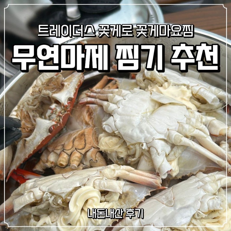 트레이더스 빙장 꽃게마요찜 후기 스테인리스 무연마제 찜기 내돈내산 추천까지