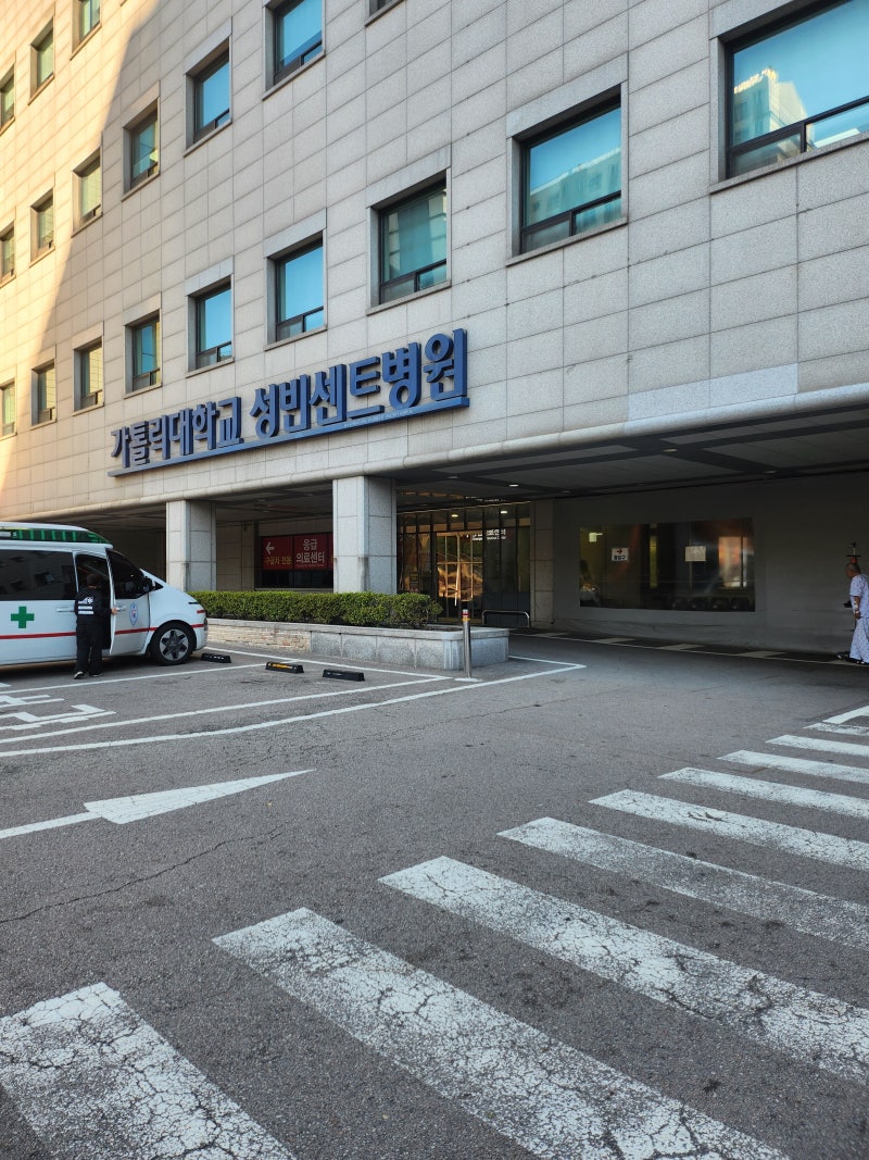 [임신 12주 차] 성빈센트병원 대학병원 진료 조직검사와 고위험 산모 가능성, 아스피린 처방....