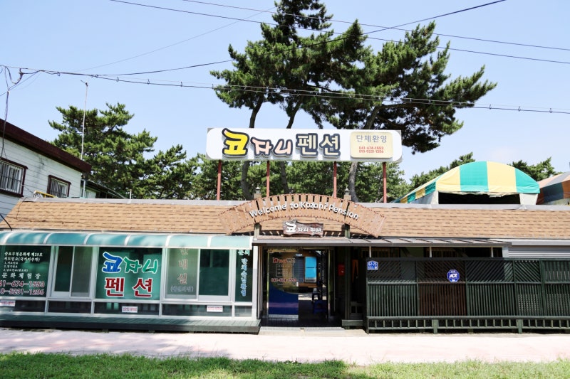 태안 해루질 펜션 꽃게잡았어요 갯벌체험 펜션 추천 코자니펜션