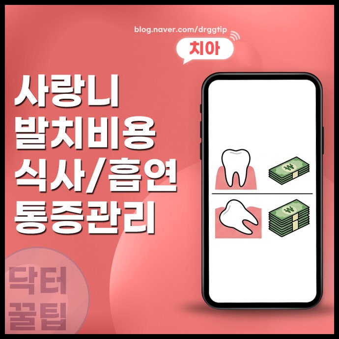 용인 사랑니 전문 발치 치과 치료 후 식사 및 비용 시간 통증 흡연 여부 등 정리