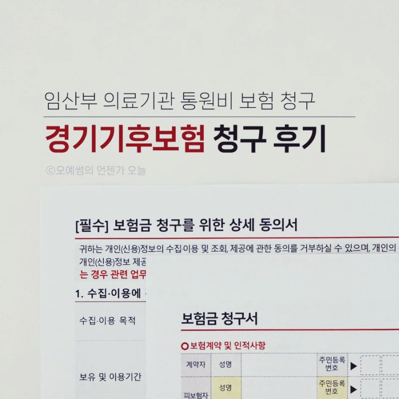 경기도 임산부 경기기후보험 청구 서류 및 방법 보상 후기