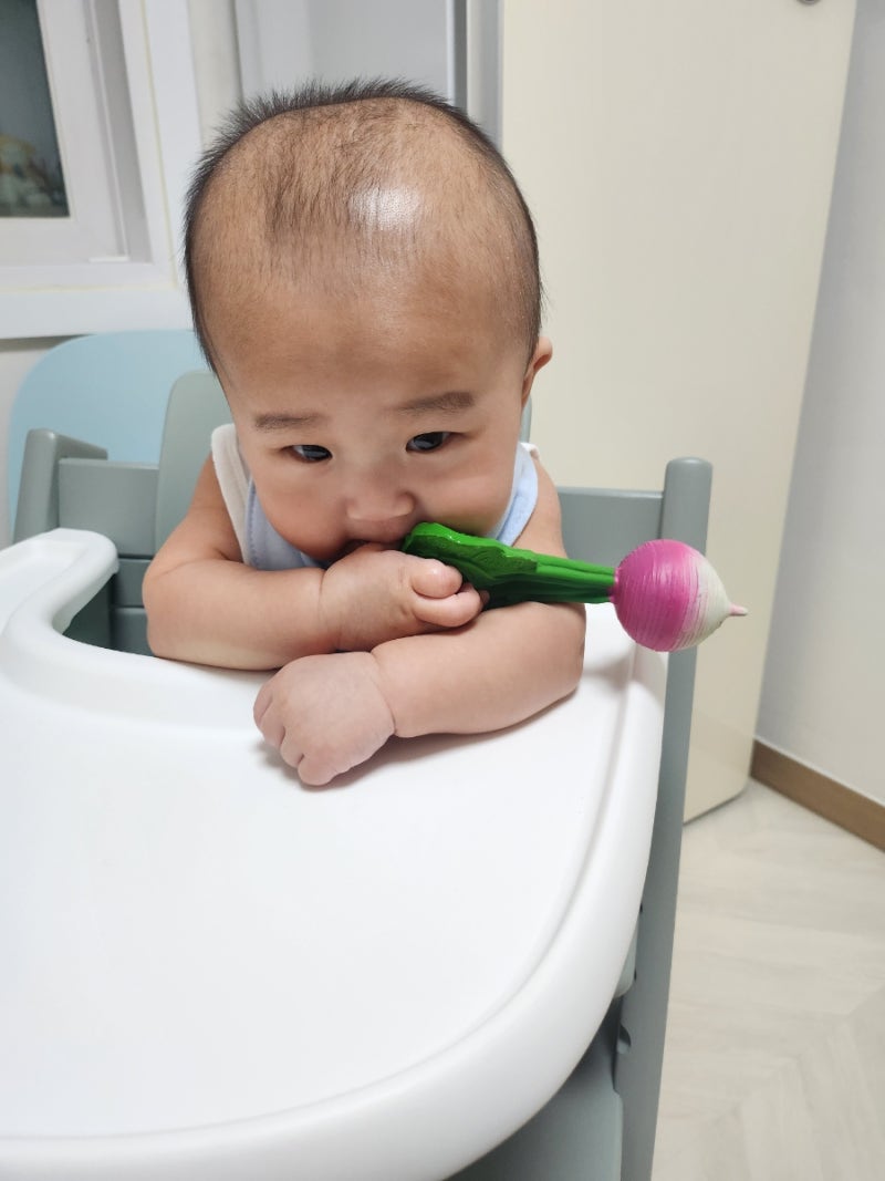 아기 치발기 추천 언제부터? 치발기계 에르메스 올리앤캐롤 후기