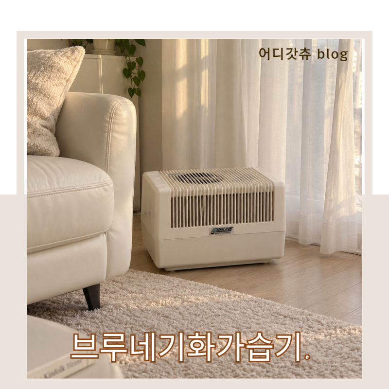 자연 기화식 가습기 추천, 거실에 브루네 사용 이유
