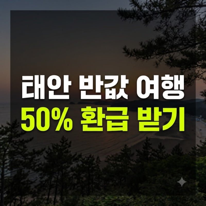 태안 반값 여행 신청 방법 및 가맹점 펜션 숙소 총정리 | 대하축제 맛집·글램핑·물때표 가이....
