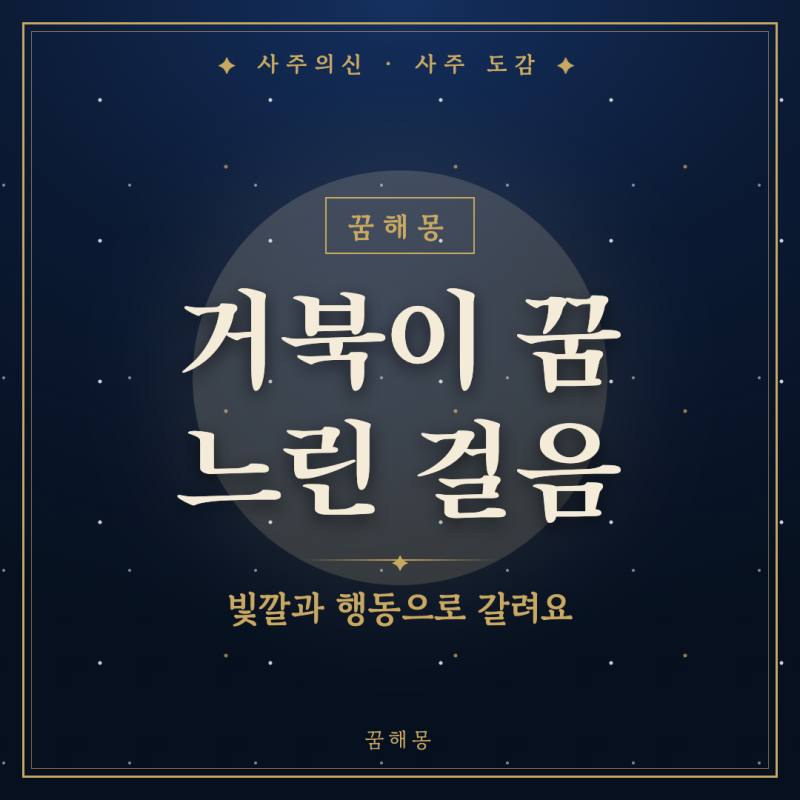 거북이 꿈해몽, 느릿느릿 기어가던 그 장면이 오래 남는 까닭과 뜻