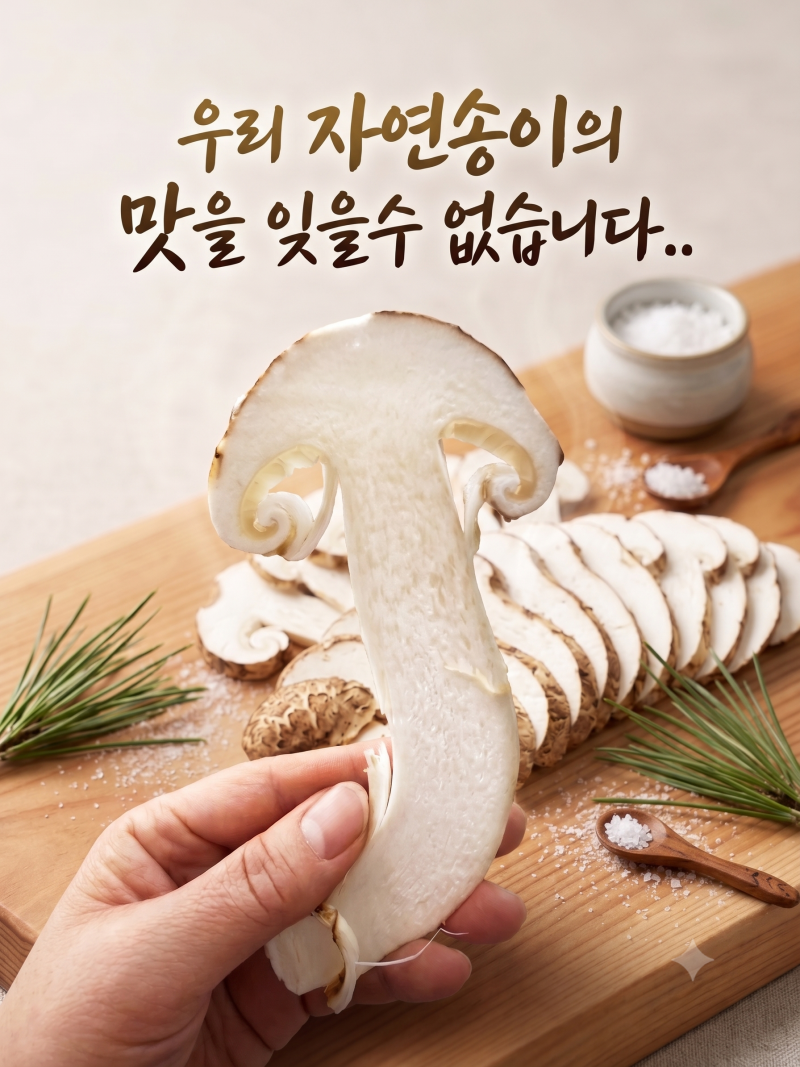 자연송이가 유독 귀하고 비싼 이유 2026년 국내산 자연송이1등급가격