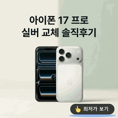 애플 아이폰 17 프로 자급제 256GB 실버 교체 솔직후기
