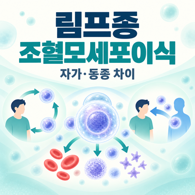 림프종 조혈모세포이식(골수이식) 총정리｜자가·동종 차이, 과정·입원기간·부작용