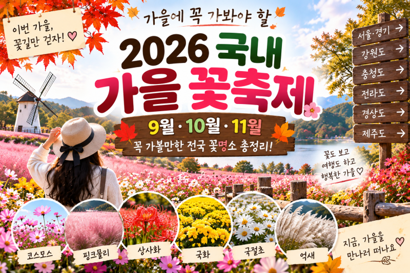 2026 국내 가을 꽃축제 총정리｜9월·10월·11월 꼭 가볼 만한 전국 꽃명소