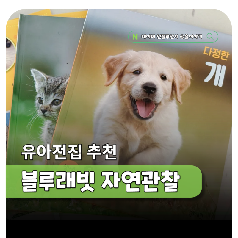 5세 유아전집 블루래빗 생생 자연관찰 엄마표 책육아 책추천