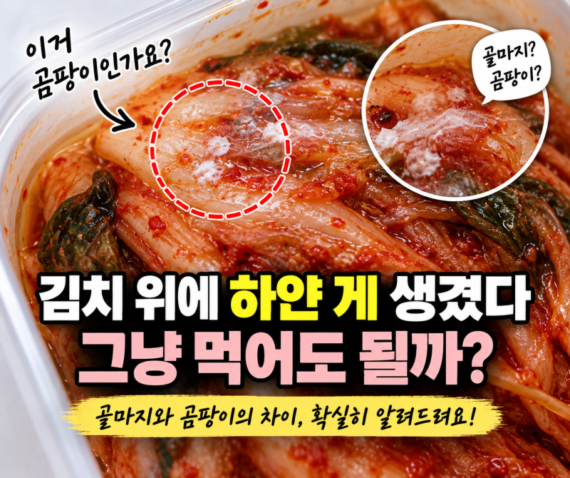 김치 위에 하얀 게 생겼다…곰팡이일까? 그냥 먹어도 될까