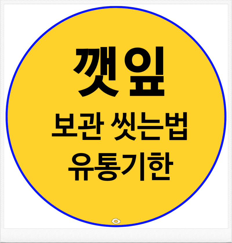 깻잎 보관법 먹는법 씻는법 유통기한까지 제대로 알아보기