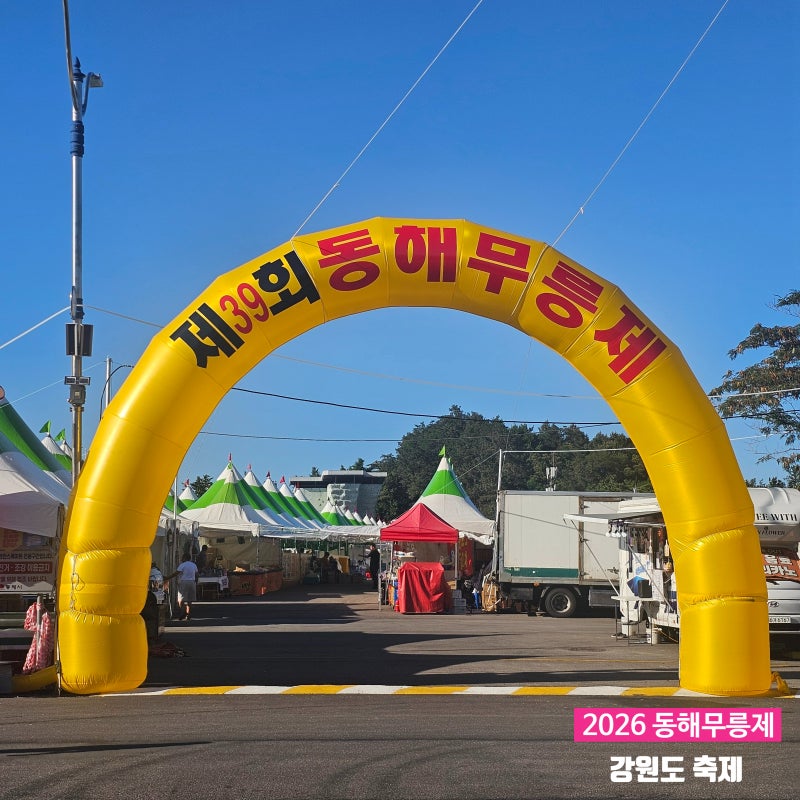2026 동해 무릉제 직접 다녀온 후기 (일정 초대가수 라인업 주차 먹거리 체험 셔틀버스)