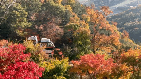 화담숲 모노레일 무조건 1-3구간을 타야 하는 이유
